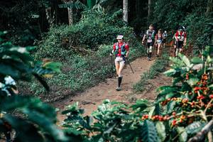 BIB: 
                            <button type="button" onclick="openModal(25840524)" class="btn btn-primary btn-sm float-right btn-popup" data-toggle="modal" data-target=".modal-high-quality">
                        <i class="fas fa-shopping-cart"></i> Add to Cart
                    </button>
                                            <button type="button" onclick="isThisMe(25840524, true)" class="btn btn-success btn-sm float-right btn-popup btn-isme hidden" data-toggle="tooltip" data-placement="bottom" title="นี่คือรูปของคุณใช่ไหม คลิกที่นี่เพื่อเอาเข้าอัลบั้ม">
                        <i class="fas fa-plus"></i> Add to album
                    </button>
                    <button type="button" onclick="isThisMe(25840524, false)" class="btn btn-warning btn-sm float-right btn-popup btn-isnotme hidden">
                        <i class="fas fa-ban"></i> Remove from album
                    </button>